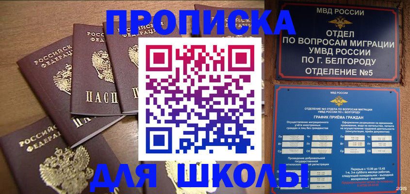 прописка гарантия в Вяземском